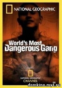 MS-13: Самая жестокая банда в мире